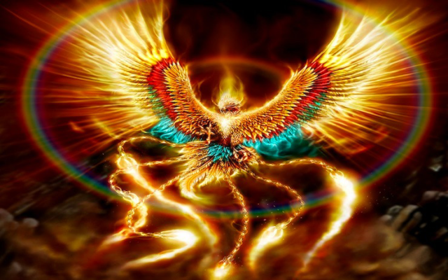 Phoenix Rising