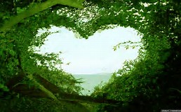 Heart nature